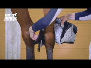 Hock Wraps